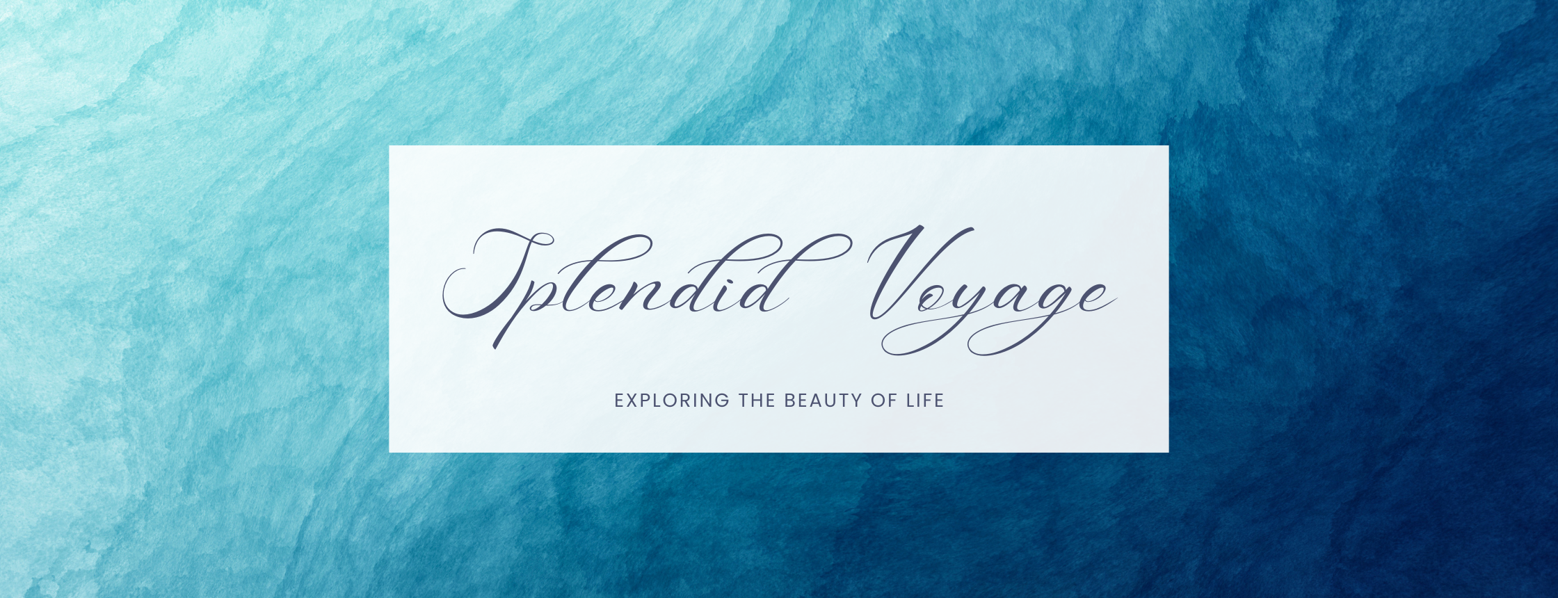 Splendid Voyage blog