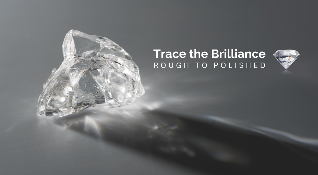 Traceability RoughtoPolished - EJI