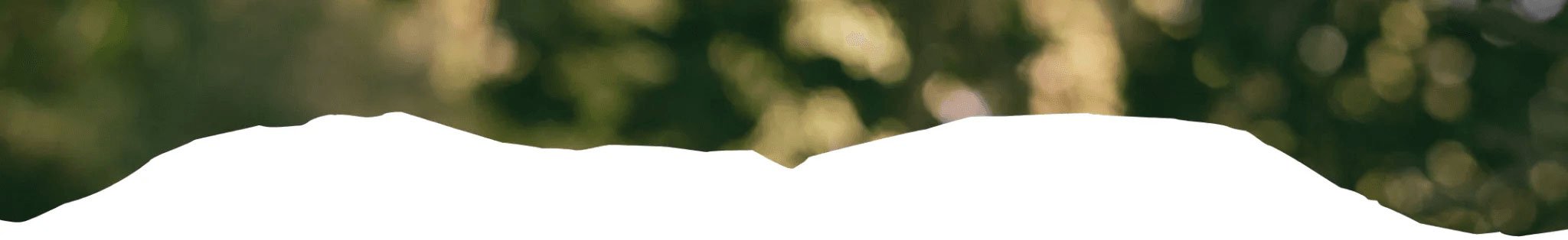 sustainability-header