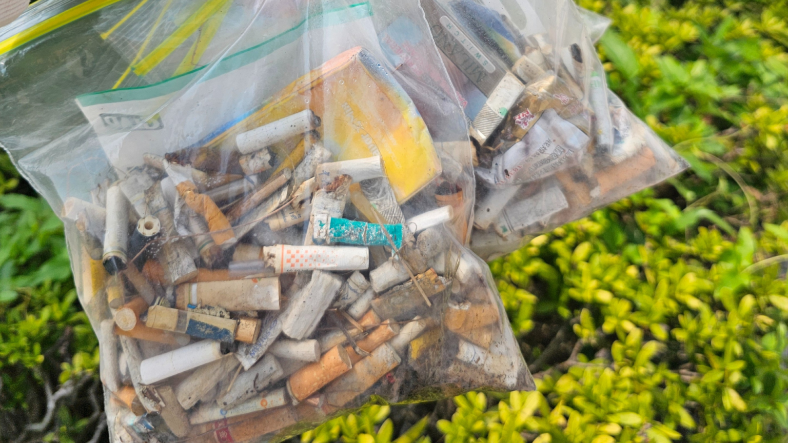 Lok Sin Tong Butt Litter Clean Up Day 2025 - EJI Corporate Social Responsibility - Over 500 cigarette butts collected